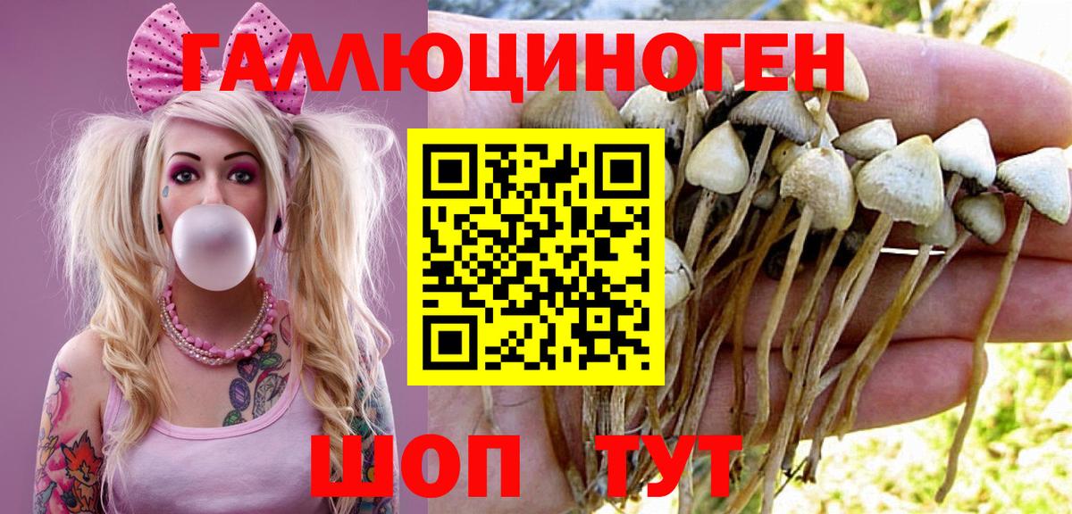 Кохма  Псилоцибиновые грибы мицелий  Галлюциногенные грибы мицелий  Вход с VPN 